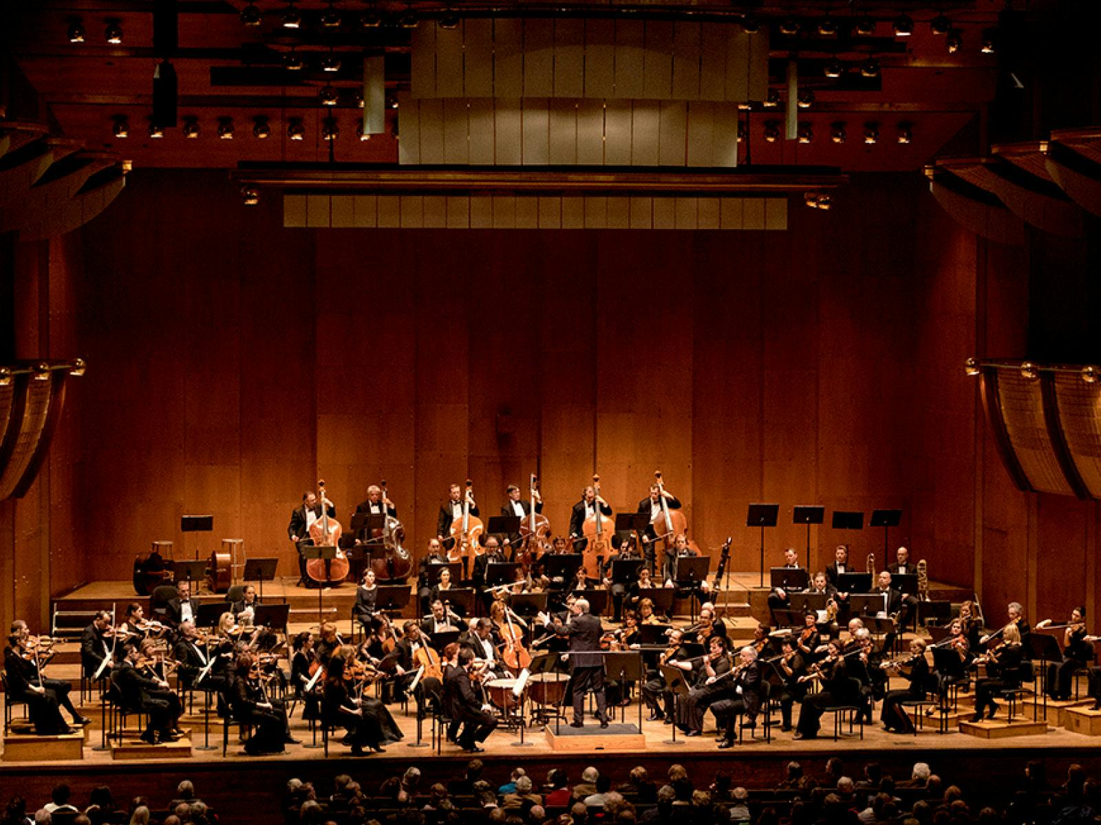Budapest Festival Orchestra AllDvořák Program Tickets New York TodayTix