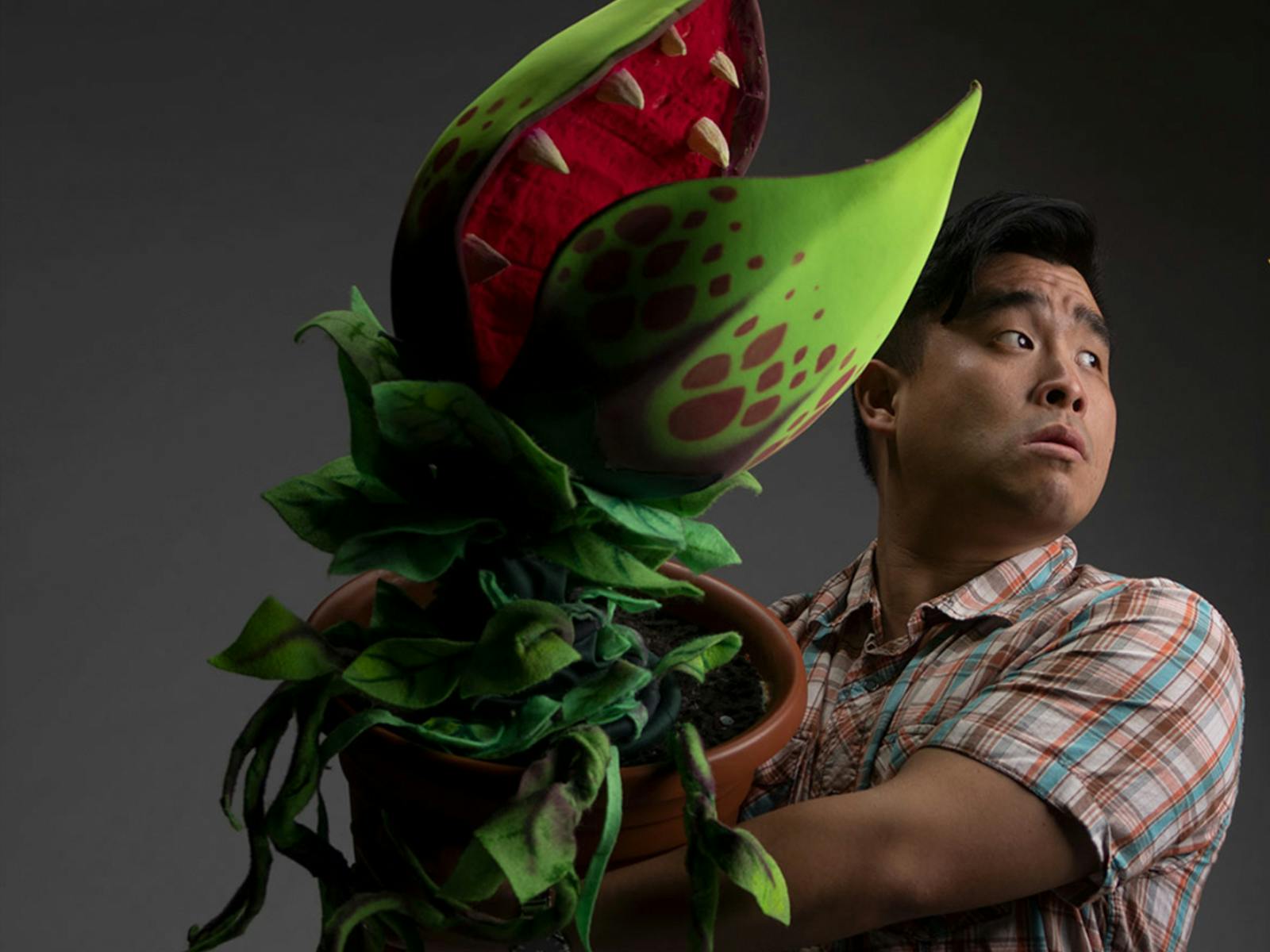 Little Shop Of Horrors Tickets Sf Bay Area Todaytix Little Shop Of Horrors Tickets Sf Bay Area Todaytix